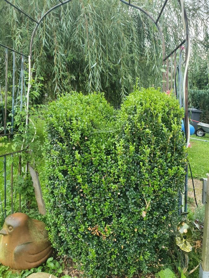 Ferienwohnung Forsthaus Bad Grönenbach Εξωτερικό φωτογραφία